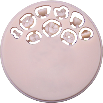 Composite Resin(disc)